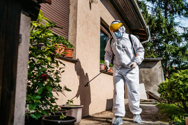 Wildlife Control Services in New Bedford, PA