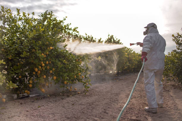 Best Bed Bug Extermination  in New Bedford, PA