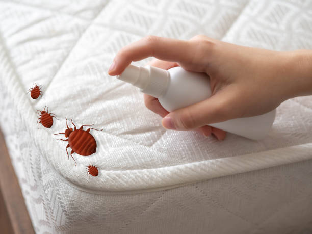 Best Wildlife Control Services  in New Bedford, PA