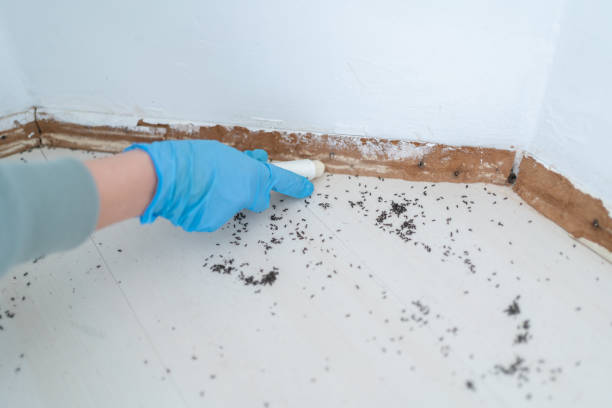 Best Emergency Pest Control  in New Bedford, PA